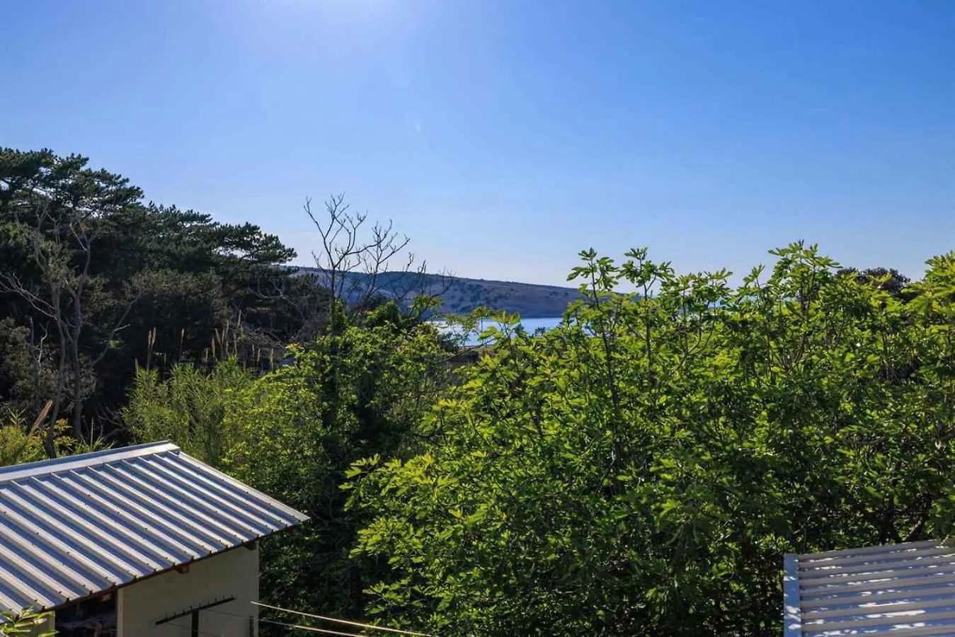 Apartments In Lopar/Insel Rab 36282